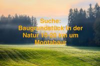 Suche Baugrundstück in Randlage Feld, Wald oder Alleinlage Rheinland-Pfalz - Montabaur Vorschau