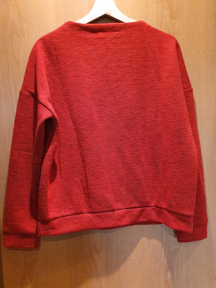 roter Pullover in Hochdorf (Riß)