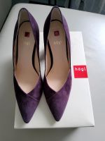 Högl Pumps Velourleder Grösse 37 (UK 4) Baden-Württemberg - Kißlegg Vorschau