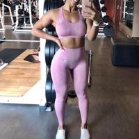 Gymshark Vital Seamless 2.0 Leggings+BH Damen Sport Fitness Tight Sachsen - Annaberg-Buchholz Vorschau
