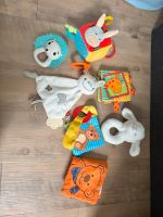 Babyrasseln und Fühlbücher Spielzeug Baby Schleswig-Holstein - Norderstedt Vorschau