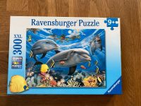 Puzzel 300 Teile mit Delfinen „Karibisches Lächeln“ Dresden - Leubnitz-Neuostra Vorschau