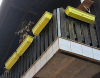 Balkonkästen mit Halterung Thüringen - Friedrichroda Vorschau