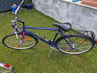 Herren Fahrrad Rheinland-Pfalz - Minfeld Vorschau