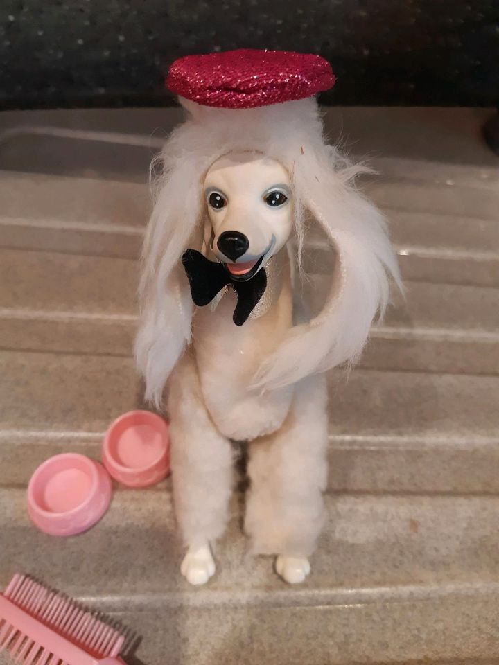 Barbie Hund Lord 80er Jahre in Goch