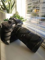 Suche Panasonic Lumix GH5 Niedersachsen - Burgdorf Vorschau