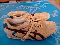 Sportschuhe Fa. Asics Nordrhein-Westfalen - Hürth Vorschau