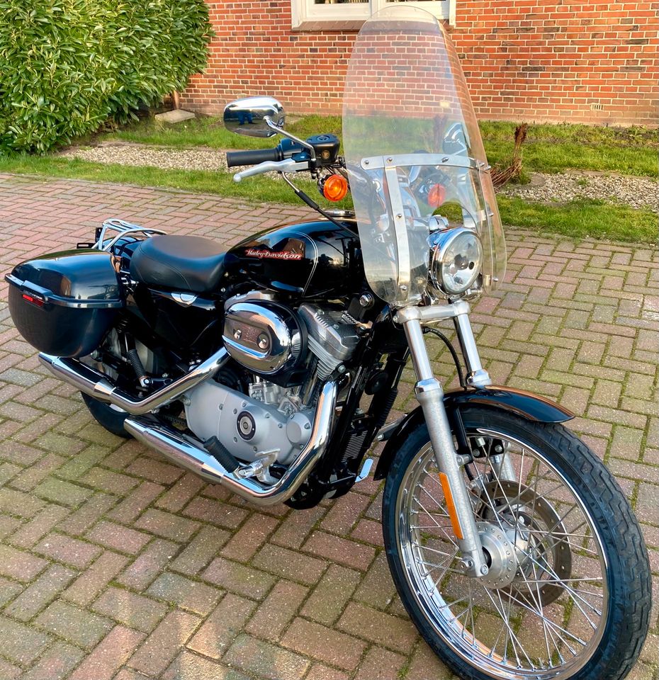 Harley Davidson Sportster XL 883 Custom in Weener