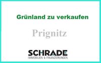 19 ha Grünland in der Prignitz Brandenburg - Wittenberge Vorschau