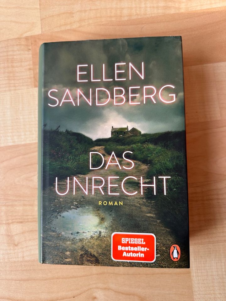 Buch - Roman - Das Unrecht - Ellen Sandberg - wie NEU in Ilvesheim