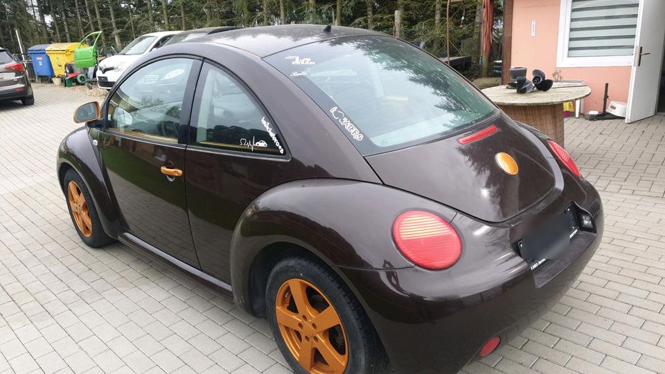 New beetle 2.0 VB 179 tkm in Beelitz