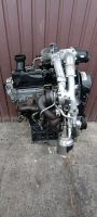 Motor  VW T5 2.0 TDI BITURBO CFC CFCA CFCB CFCC CFCD CFCE Nordrhein-Westfalen - Schloß Holte-Stukenbrock Vorschau