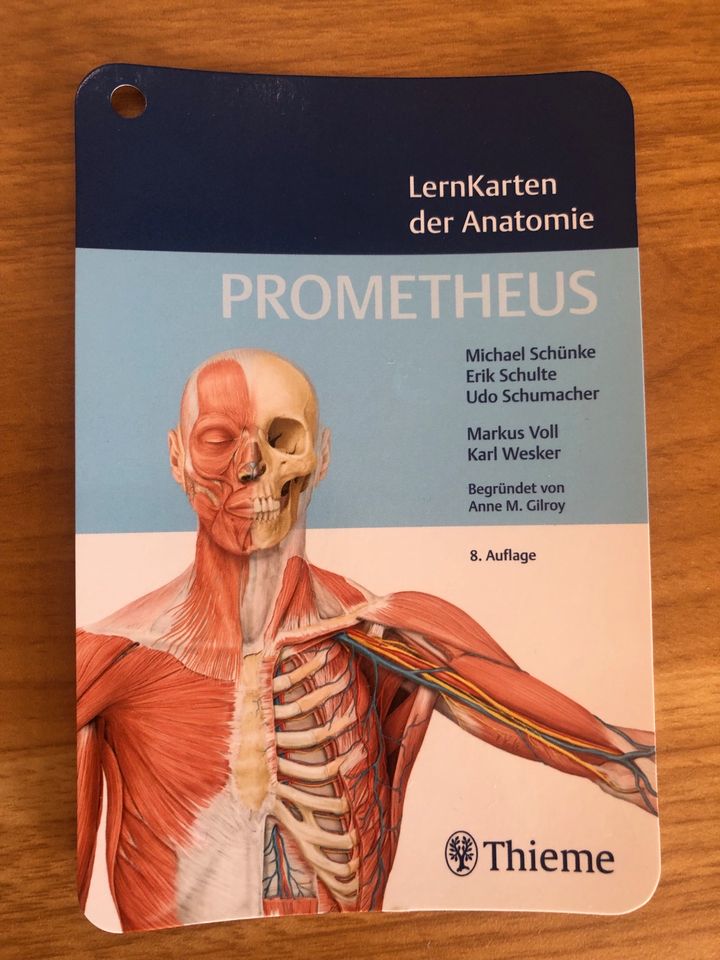 Prometheus Lernkraten der Anatomie in Ingolstadt
