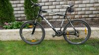 Fahrrad 28-Zoll gut erhalten Thüringen - Zella-Mehlis Vorschau