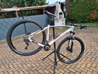 Specialized Stumpjumper Comp Carbon 29" NEUER PREIS Hessen - Mainhausen Vorschau