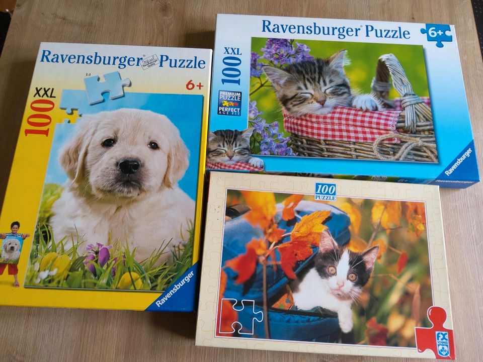 Puzzle 100 Teile in Kempen