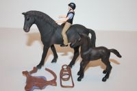 Schleich Set: englisches Vollblut + Fohlen + Reiterin Duisburg - Duisburg-Süd Vorschau