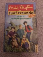 Entdecken Blyton Fünf Freunde Kinderbuch Baden-Württemberg - Wolfschlugen Vorschau