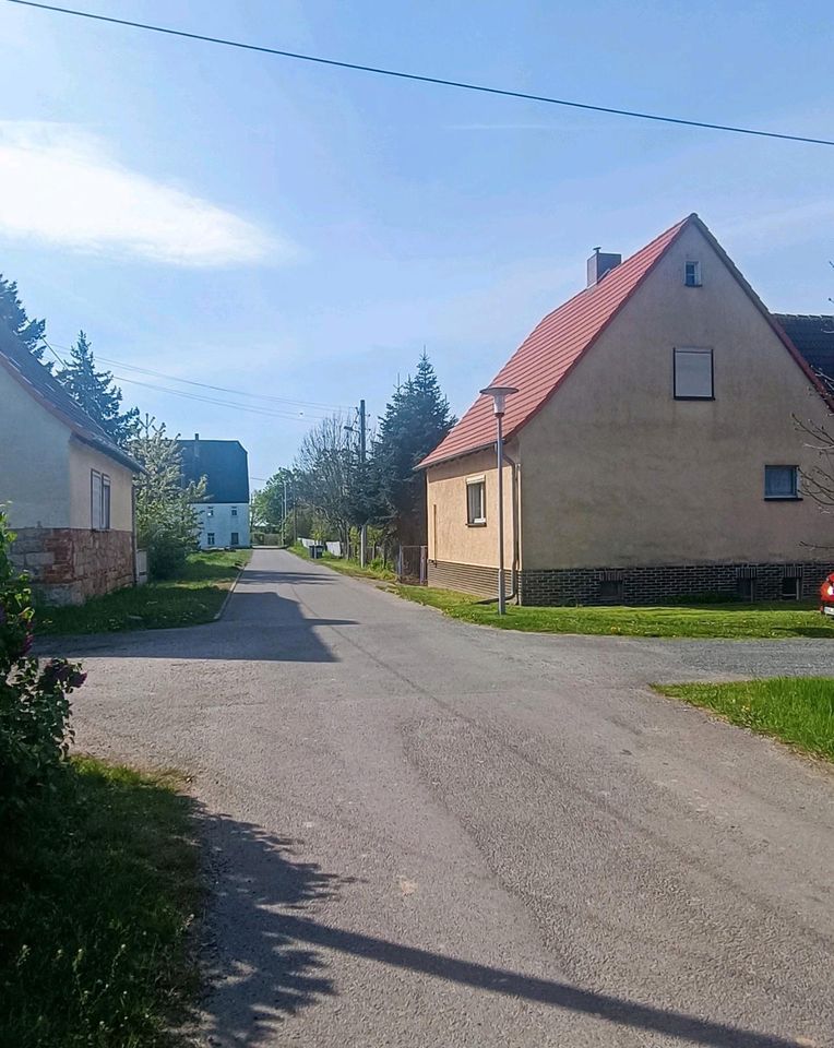 Einfamilienhaus mit Stallgebäude und Garage bei Belgern in Belgern