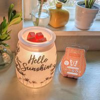 Scentsy Duftlampe Summertime Baden-Württemberg - Böhmenkirch Vorschau