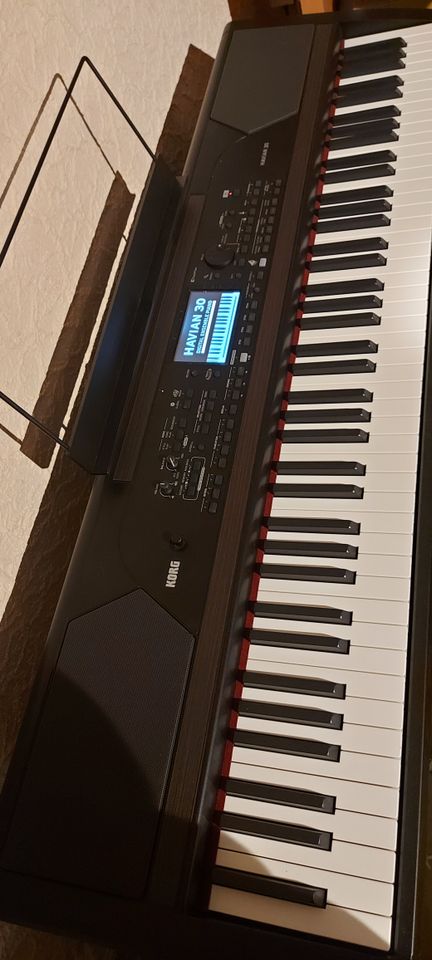 Korg Havian 30 Digitalpiano, wie neu, keine Gebrauchsspuren in Liebenburg