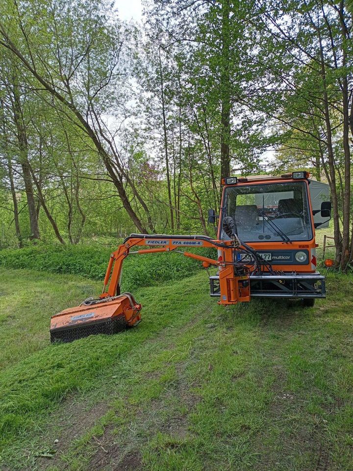 Mähen Mulchen Böschung Photovoltaik Weiher Leitpfostenreinigung in Windischeschenbach