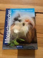 Meerschweinchen Buch verstehen Pflegen Sorgen Berlin - Friedenau Vorschau