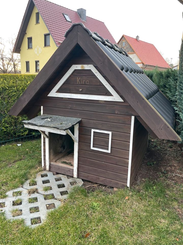 Hundehütte für den Garten in Thalwenden