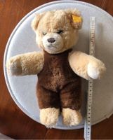 VINTAGE Steiff Teddy 6270/27 mit Fahne und Knopf Bär Niedersachsen - Braunschweig Vorschau