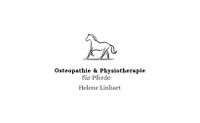 Osteopathie und Physiotherapie für Pferde Niedersachsen - Hamersen Vorschau