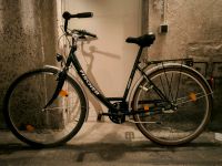 Fischer Fahrrad 7 Gänge Damenfahrrad 28" City Bike Grün Leipzig - Möckern Vorschau