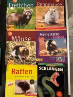 Ratgeber Frettchen Mäuse Rennmäuse Ratten Schlangen Nordrhein-Westfalen - Hagen Vorschau