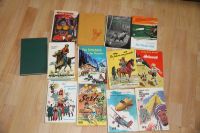 Kinder-/Jugendbuch-Sammlung - 13 Klassiker, verschiedene Autoren Bayern - Regensburg Vorschau
