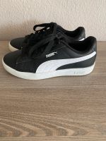 Puma Sneaker 37, sehr guter Zustand Niedersachsen - Buchholz in der Nordheide Vorschau