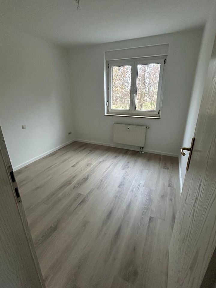 2 Zimmerwohnung im Grünen, eigene Terrasse in 01723 Kesselsdorf in Kesselsdorf