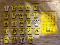 Borussia Dortmund Trikot Magnet Sammeledition BVB 09 NEU MEGA RAR Nordrhein-Westfalen - Bergisch Gladbach Vorschau