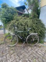 Trekking Fahrrad Bayern - Höchberg Vorschau