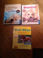 Welpen, Hundeerziehung, GU, Kosmos Niedersachsen - Neetze Vorschau