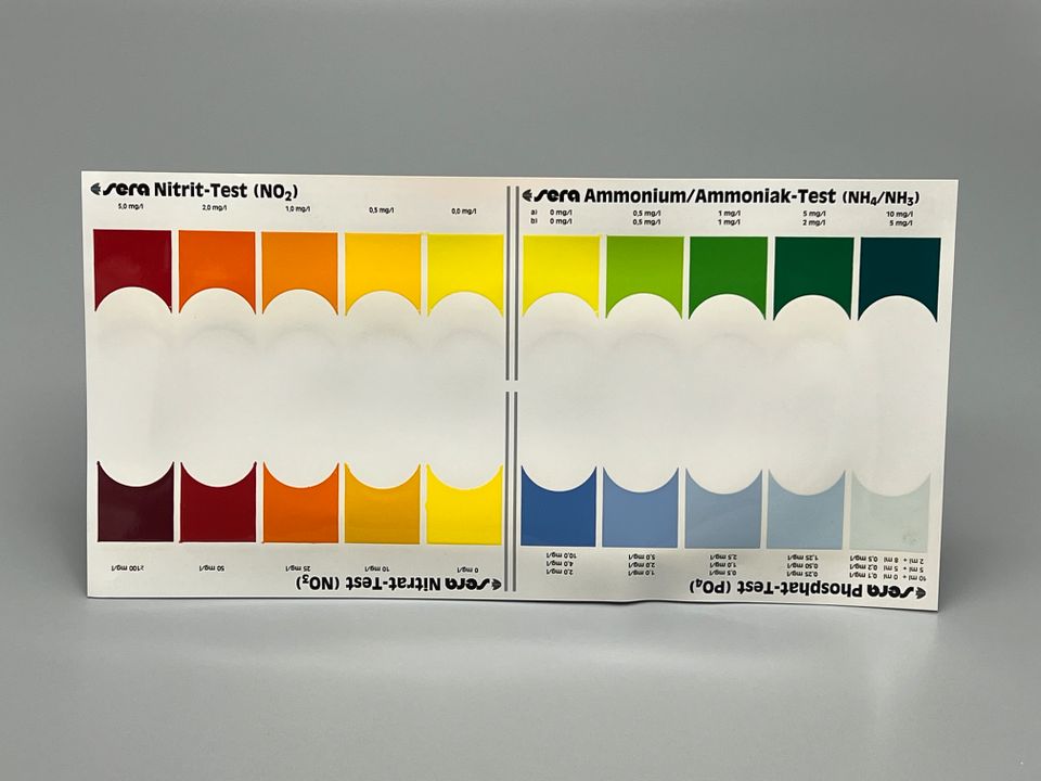 Teichwasseranalyse – Sera Koi Aqua Test Box in Ratingen