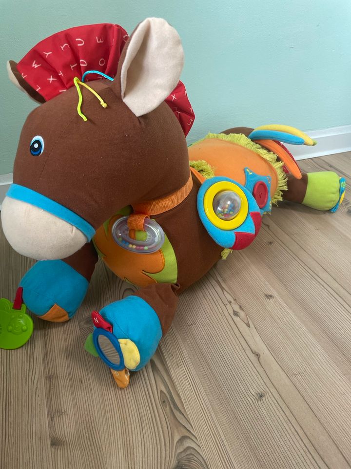 Aktivitäts Spielzeug Pferd Pony Baby Sensorik in Erkelenz