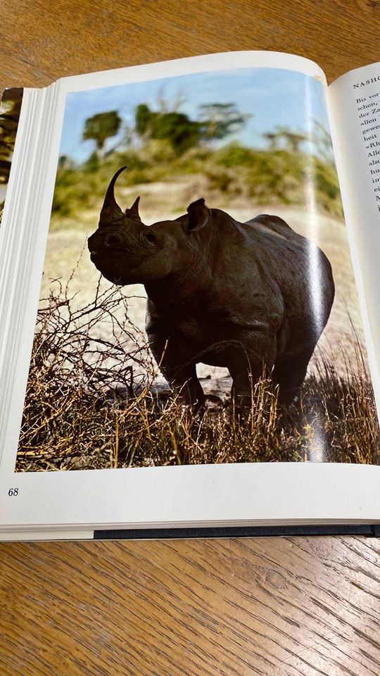 ZOO Ostafrika LINDA-Bildverlag; 1969 in Köln