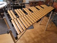 Studio 49 Royal Percussion Xylophon Hessen - Pohlheim Vorschau