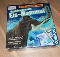 Eiszeit Mammut mit Gips- für kleine Entdecker Bayern - Geldersheim Vorschau