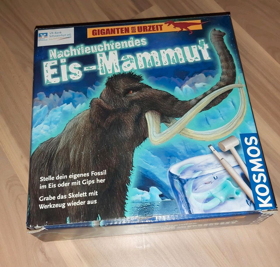 Eiszeit Mammut mit Gips- für kleine Entdecker in Geldersheim