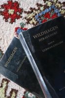 Englisch - Deutsch Übersetzer, Wildhagen Héraucourt, Brandstetter Baden-Württemberg - Baiersbronn Vorschau