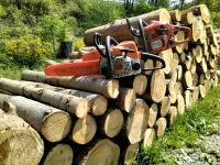 Forst Arbeiten rund ums Holz! Bayern - Windischeschenbach Vorschau