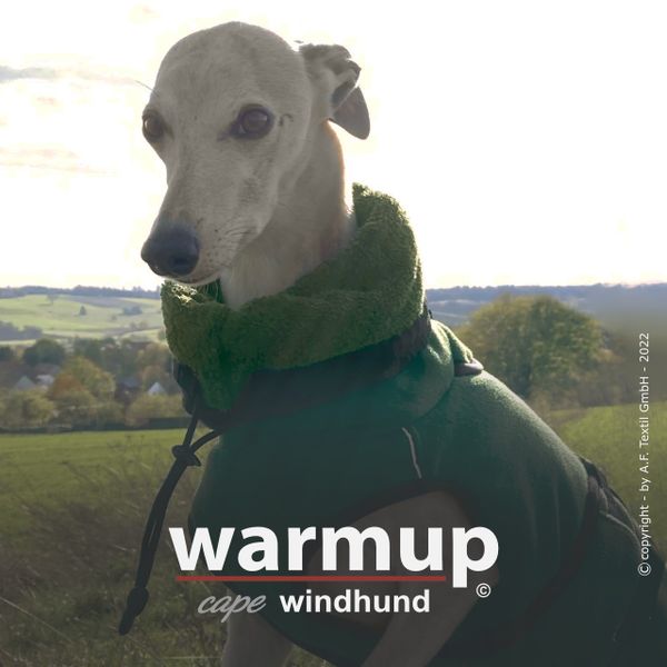 Hundemantel WARMUP© cape PRO WINDHUND pine green WARMUP© cape PR in  Nordrhein-Westfalen - Marl | eBay Kleinanzeigen ist jetzt Kleinanzeigen