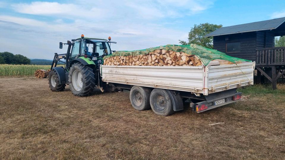 Brennholz Fichte in Nideggen / Düren