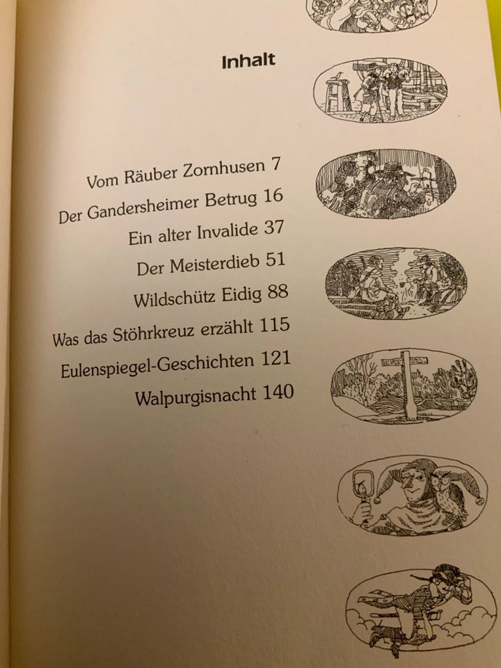 Buch: Geschichten von großen und kleinen Halunken in Hamburg