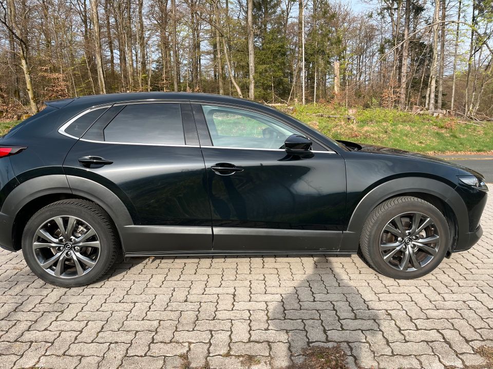 Mazda CX-30, SKYACTIV-X, AWD, Selection+Vollausst., AHK, Bose in Biedenkopf